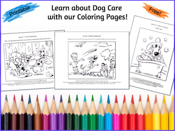 Dog Care Coloring Pages | Dog Remedy